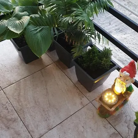Bella Apartament